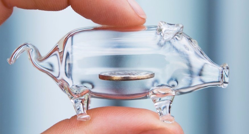 Общественная палата и Минобрнауки займутся прозрачностью системы начисления зарплат в вузах