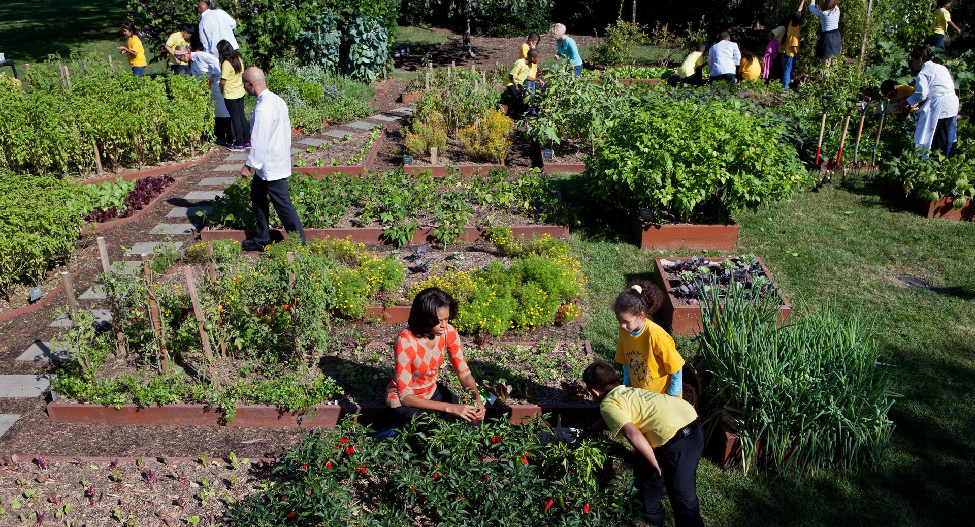Огороды на территории американских школ помогают детям правильно питаться