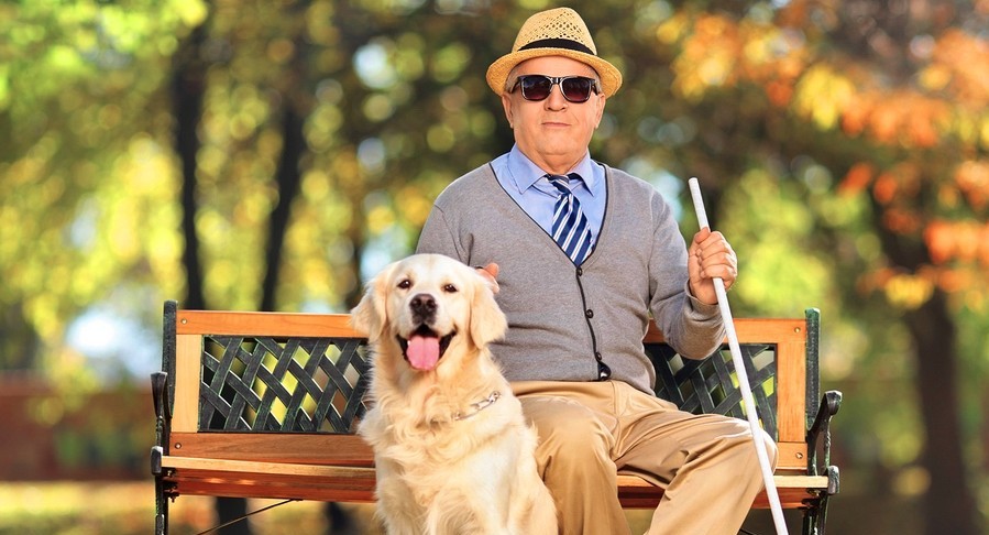 Красноярский школьник изобрел электронный поводырь для слабовидящих