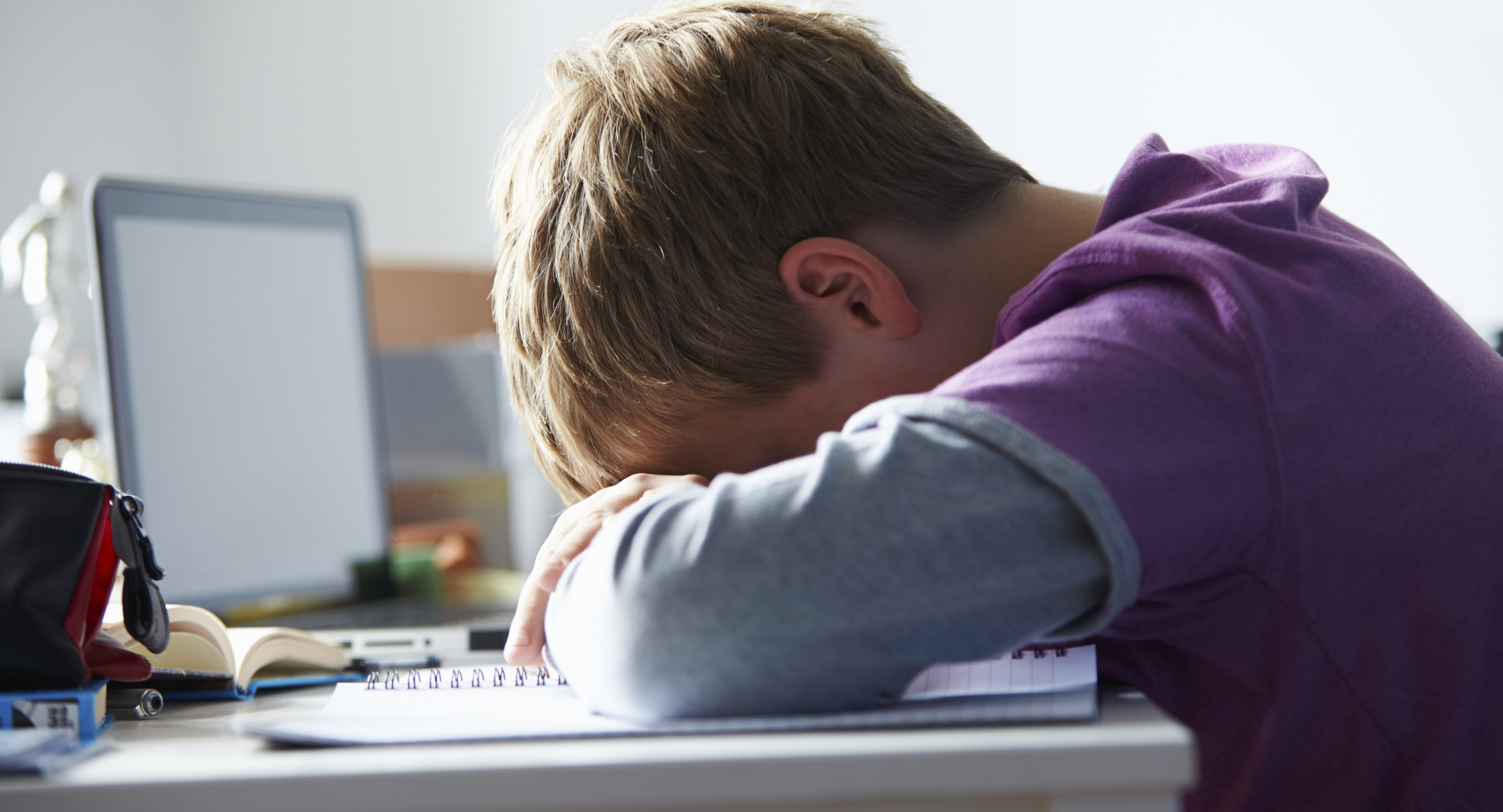 25% учеников французских коллежей были жертвами кибертравли