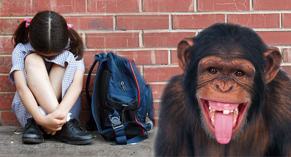 Инстинкт буллинга