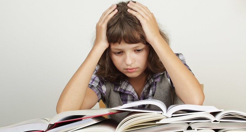 Что ждать школьникам от введения новых образовательных стандартов