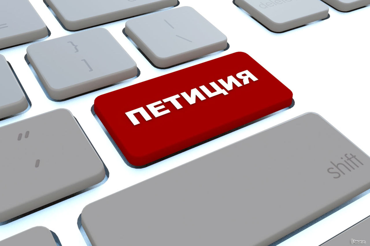 Педагоги собирают подписи в поддержку реформы образования Васильевой