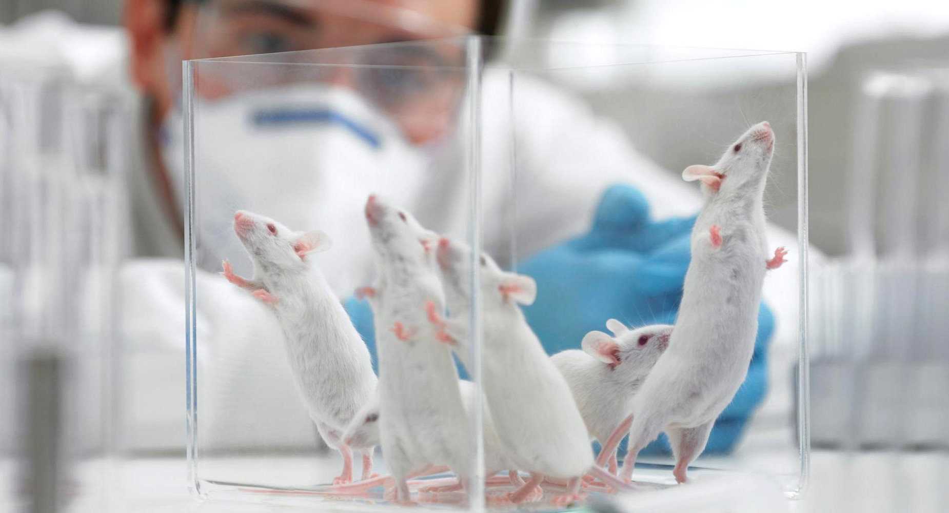 Университетам и научным центрам будет проще получать гранты, заявили в ЦСР