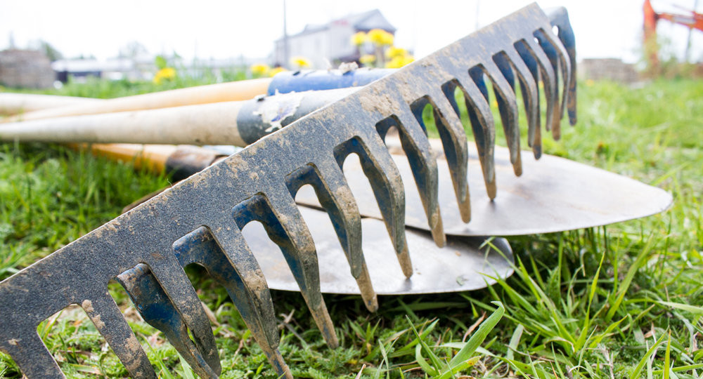 В Узбекистане уволили директора, заставившего учителей убирать двор школы