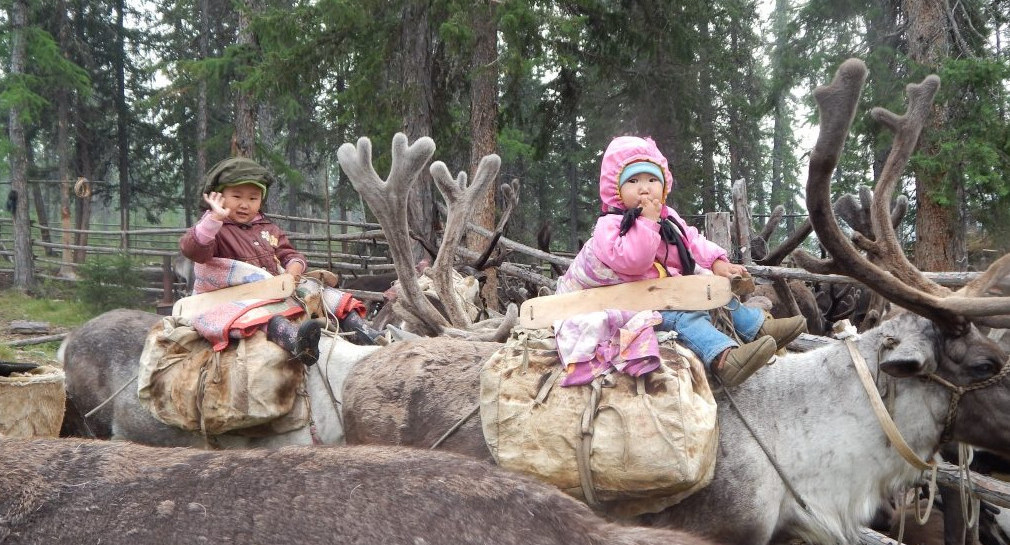 Дети оленеводов будут учиться в мобильных модулях
