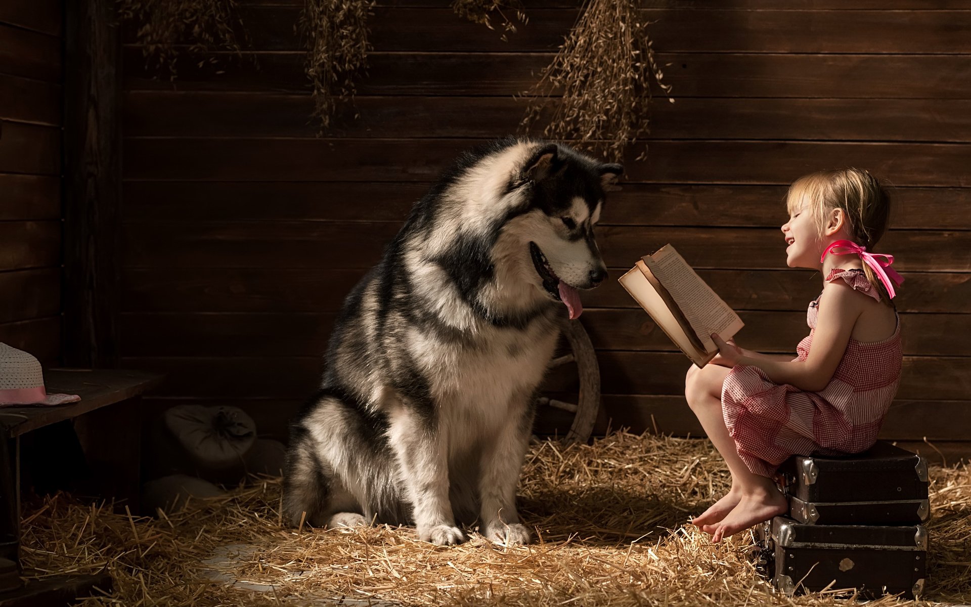 Улучшить навыки чтения ученикам 50 испанских школ помогают... собаки