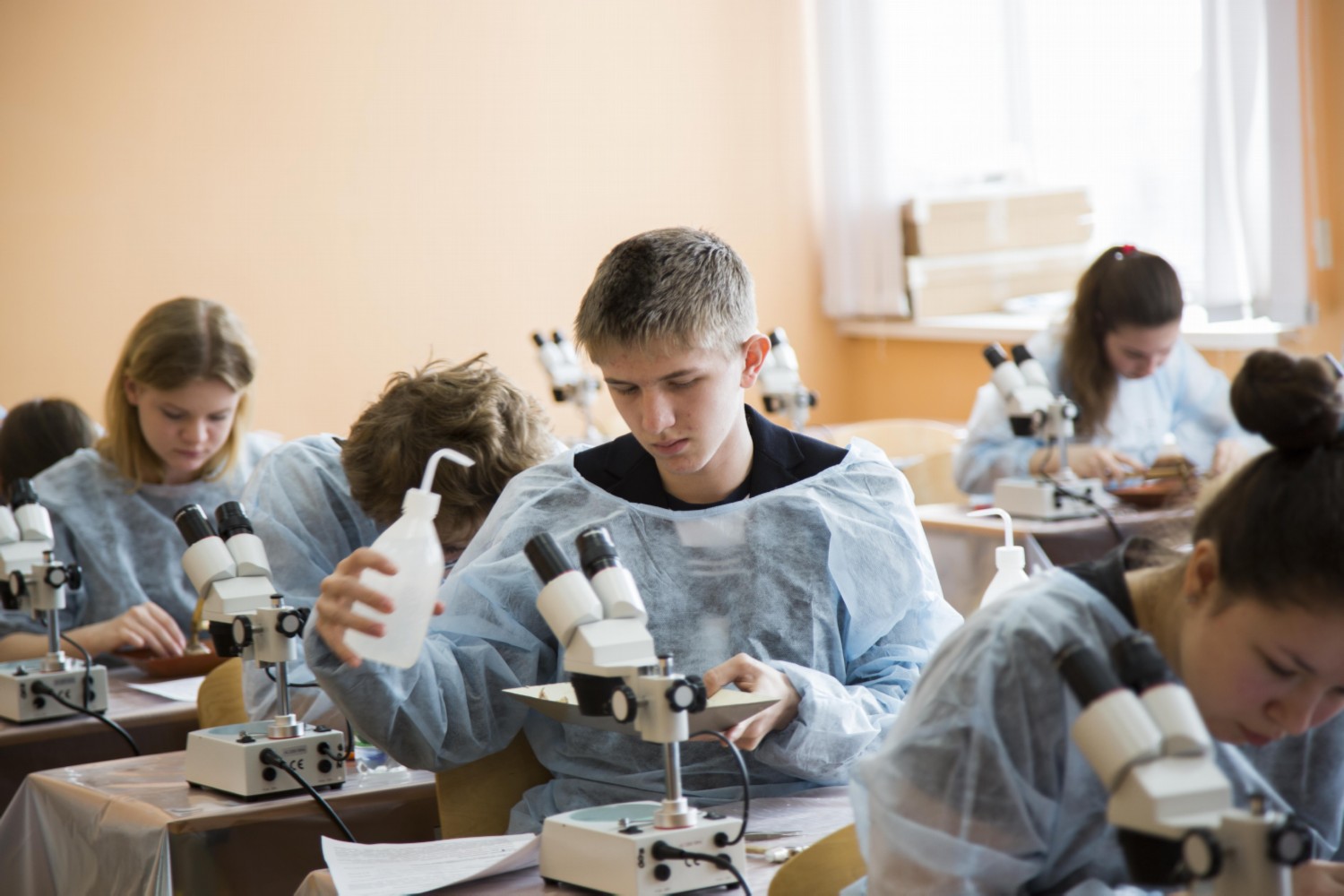 Более 200 школ подготовили победителей и призеров Всероссийской олимпиады