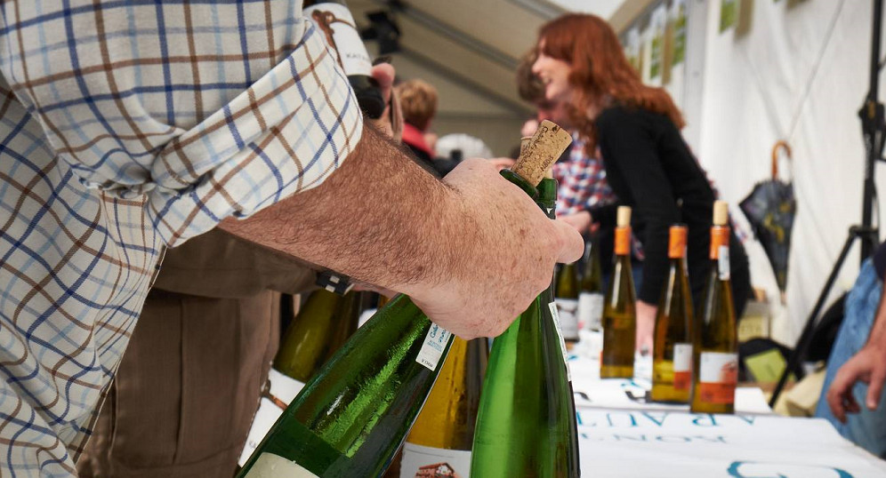 Правительство Испании против «ботельона»