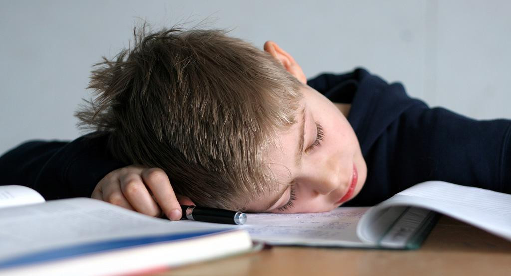 Депутат Госдумы предложил отменить школьные домашние задания