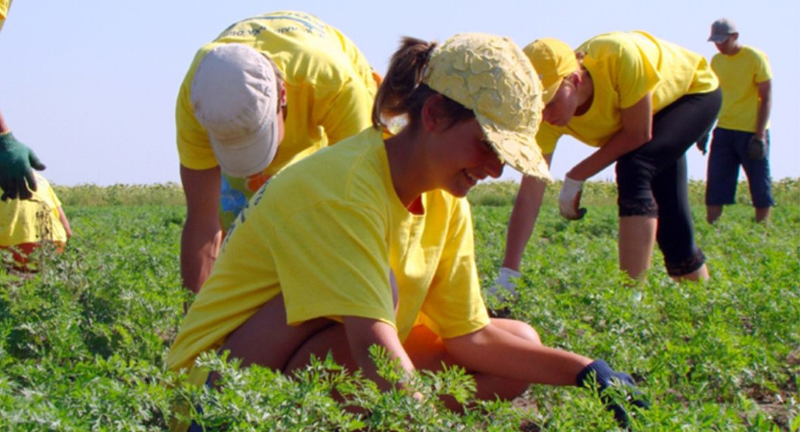 Каждому подростку – по рабочему месту