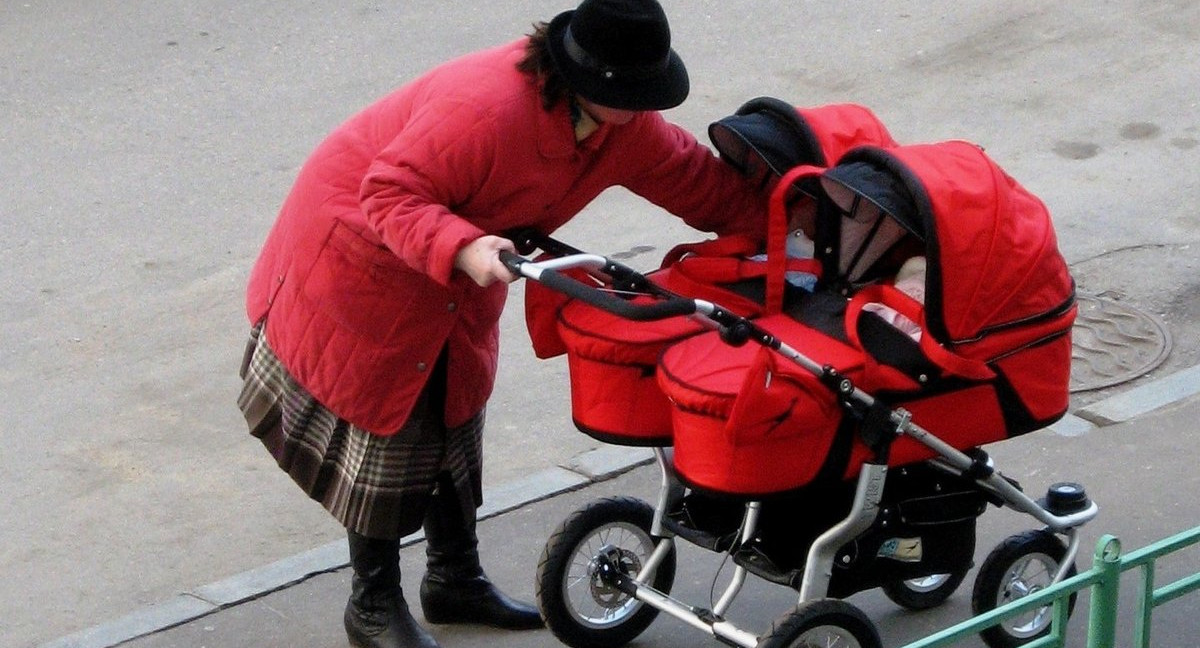 ОНФ назвал самые частые виды мошенничества с материнским капиталом