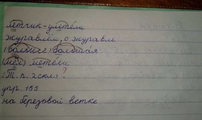 Родителей озерского школьника удивили претензии учителя