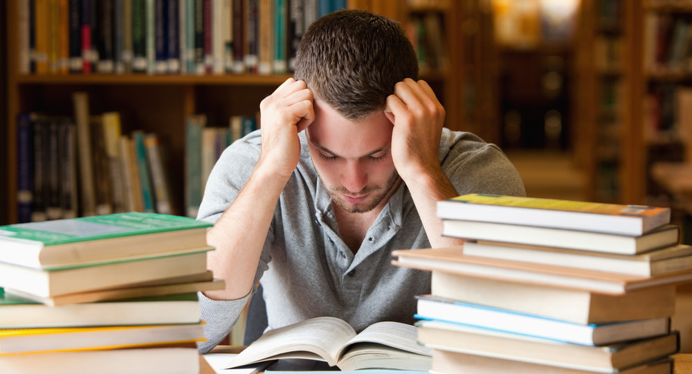 Ирина Яровая: «Сегодня идут учиться на педагогов те, кто больше никуда не может поступить»