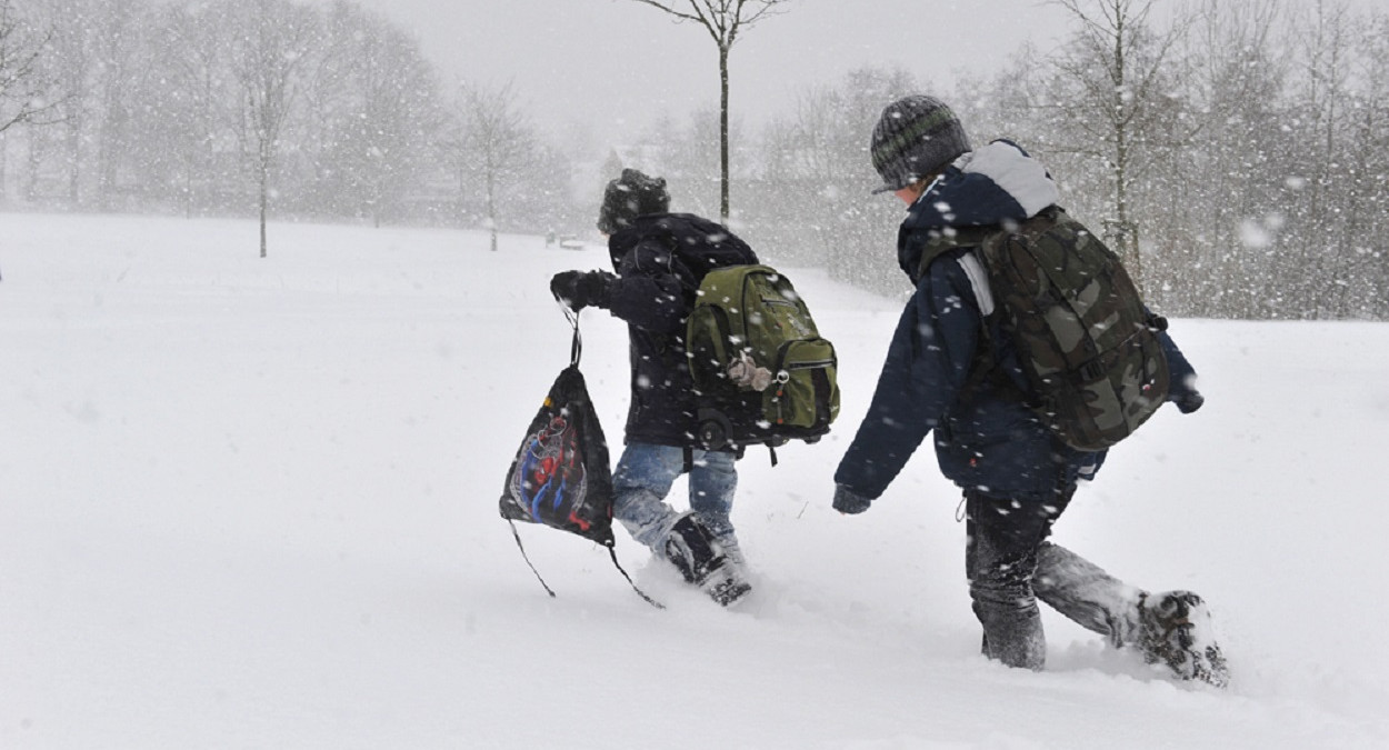 Юные Ломоносовы: В Переславле-Залесском дети идут до школы 10 километров пешком