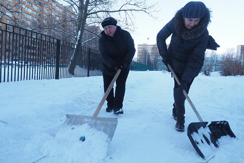 Петербургских учителей призвали выйти на субботник и убрать снег