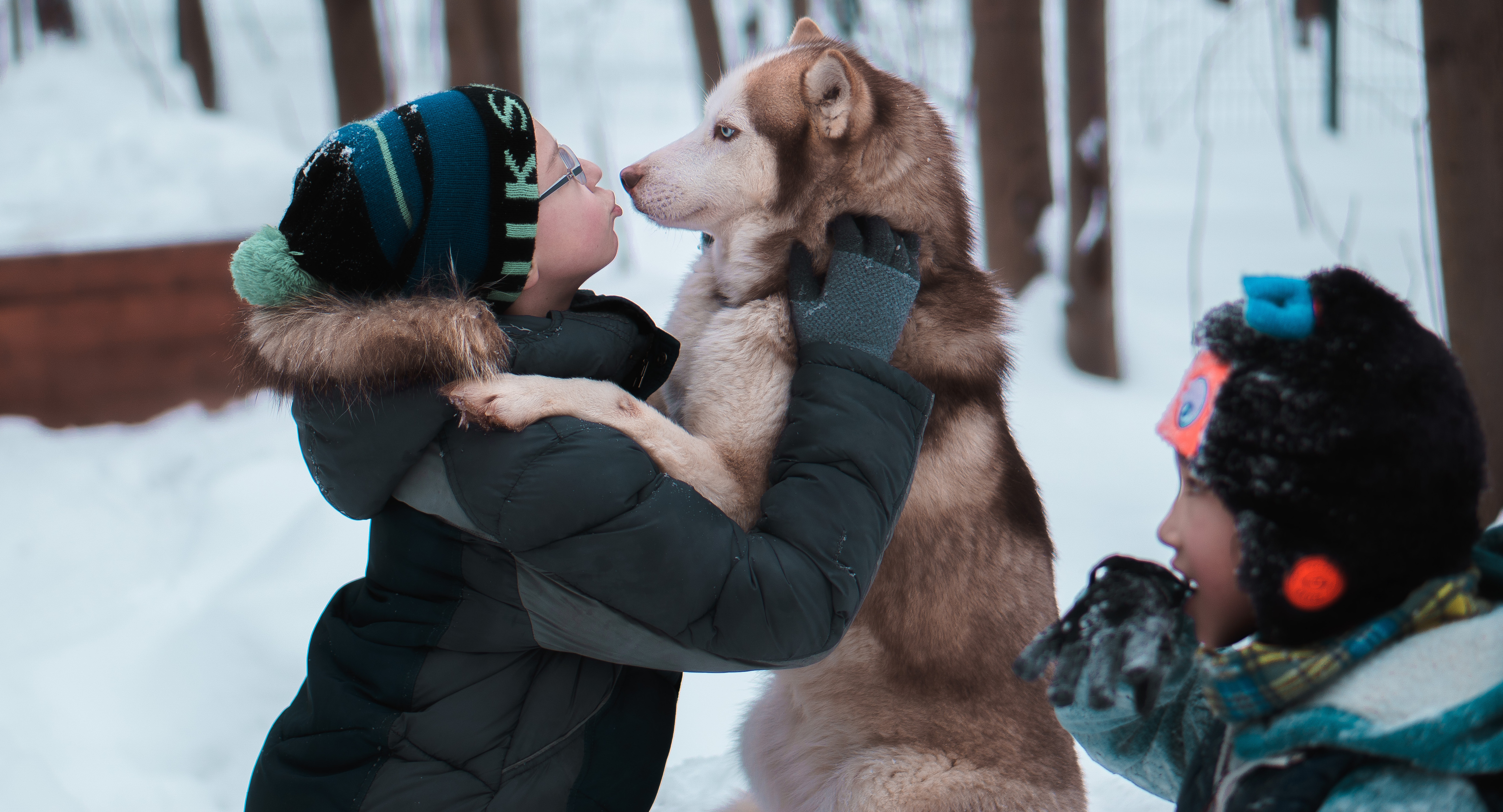 25 января для московских школьников открылся «Хаски парк» в Сокольниках 