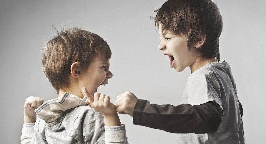 Катерина Демина: «Современные учителя не могут отличить плохое поведение от начинающегося приступа эпилепсии»