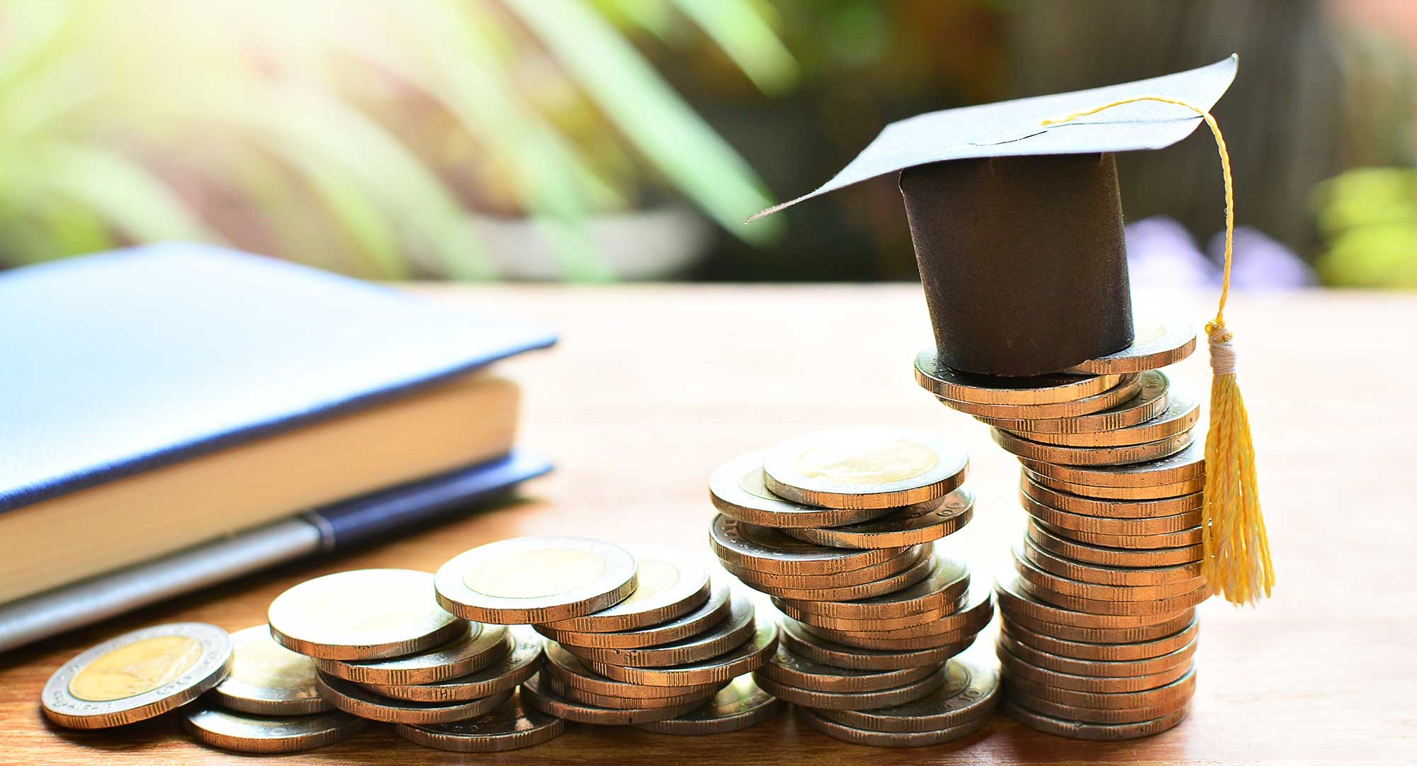 Ольга Васильева: Инвестиции в образование были и остаются самыми эффективными 