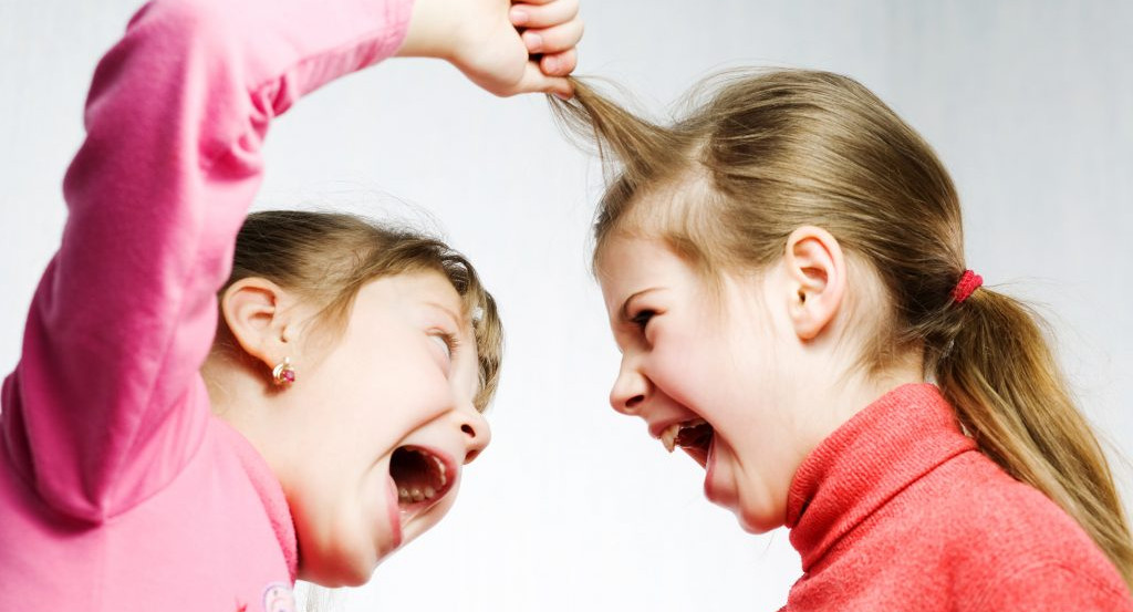 Ученицы третьего класса московской школы подрались и попали в больницу 