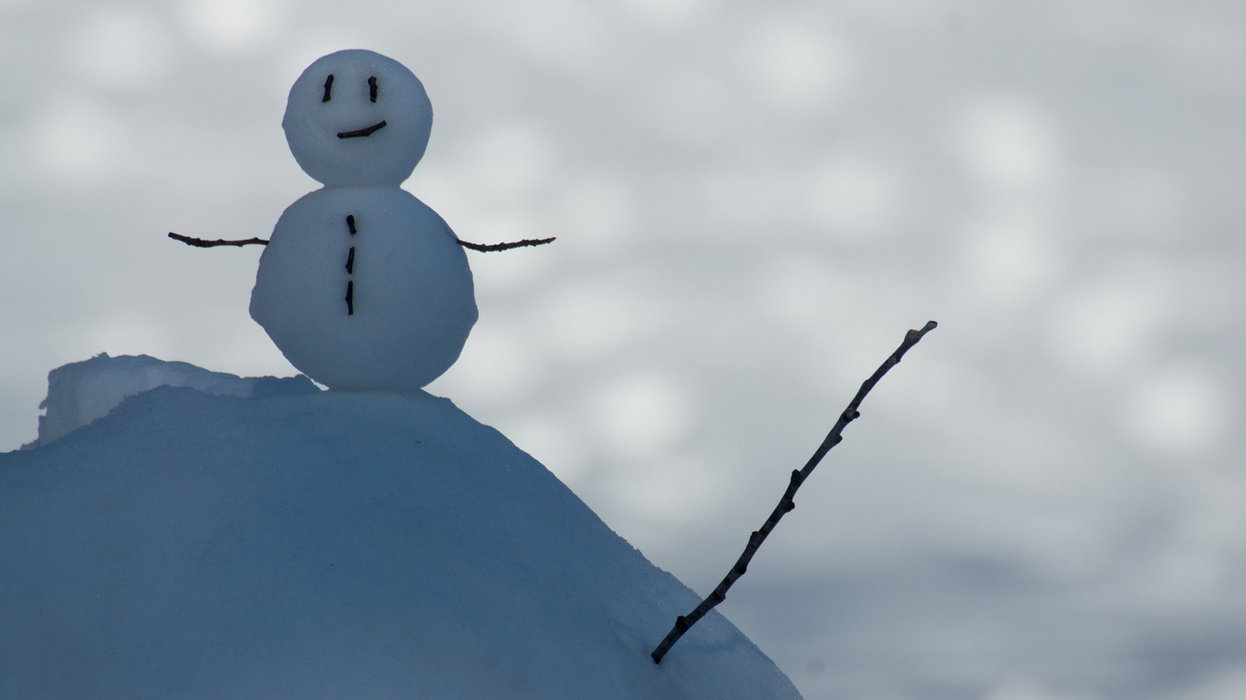 В Алтайском крае появился 7-метровый снеговик 