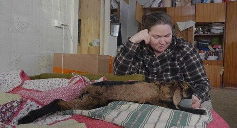 Семья, которую травили в деревне из-за письма к Путину, переехала в другой район Псковской области