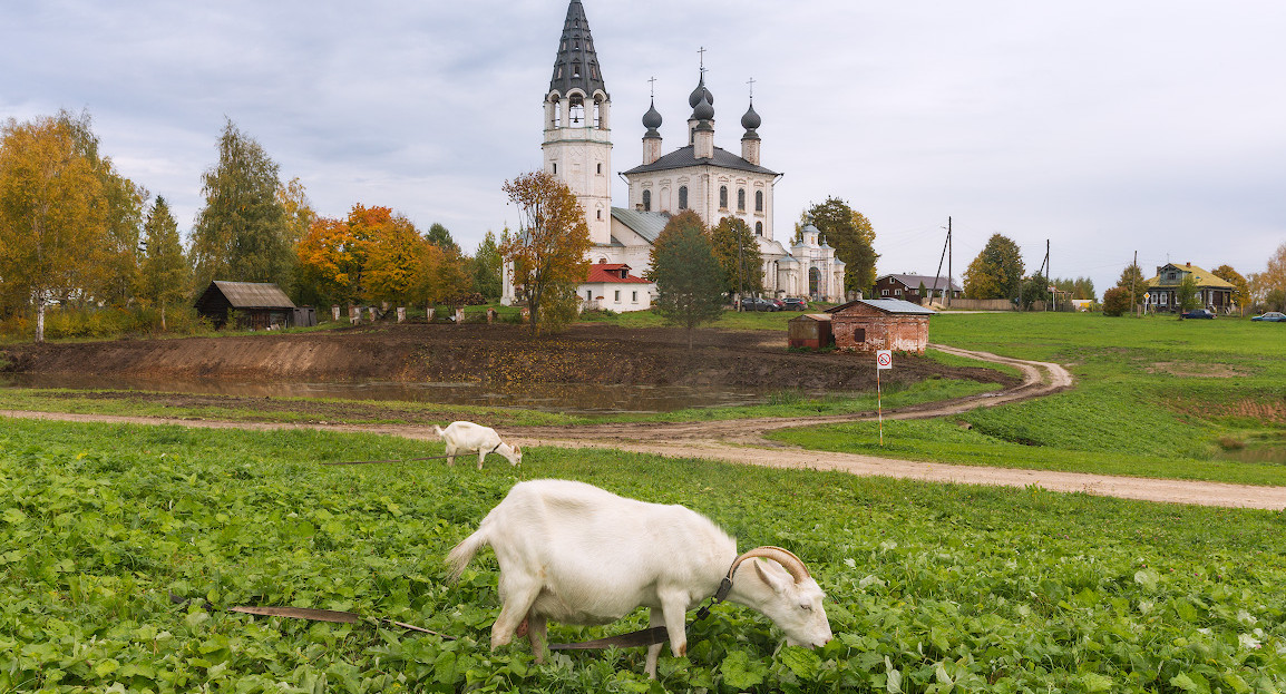 В Госдуме предложили освободить от НДФЛ выплаты по программе «Земский учитель»