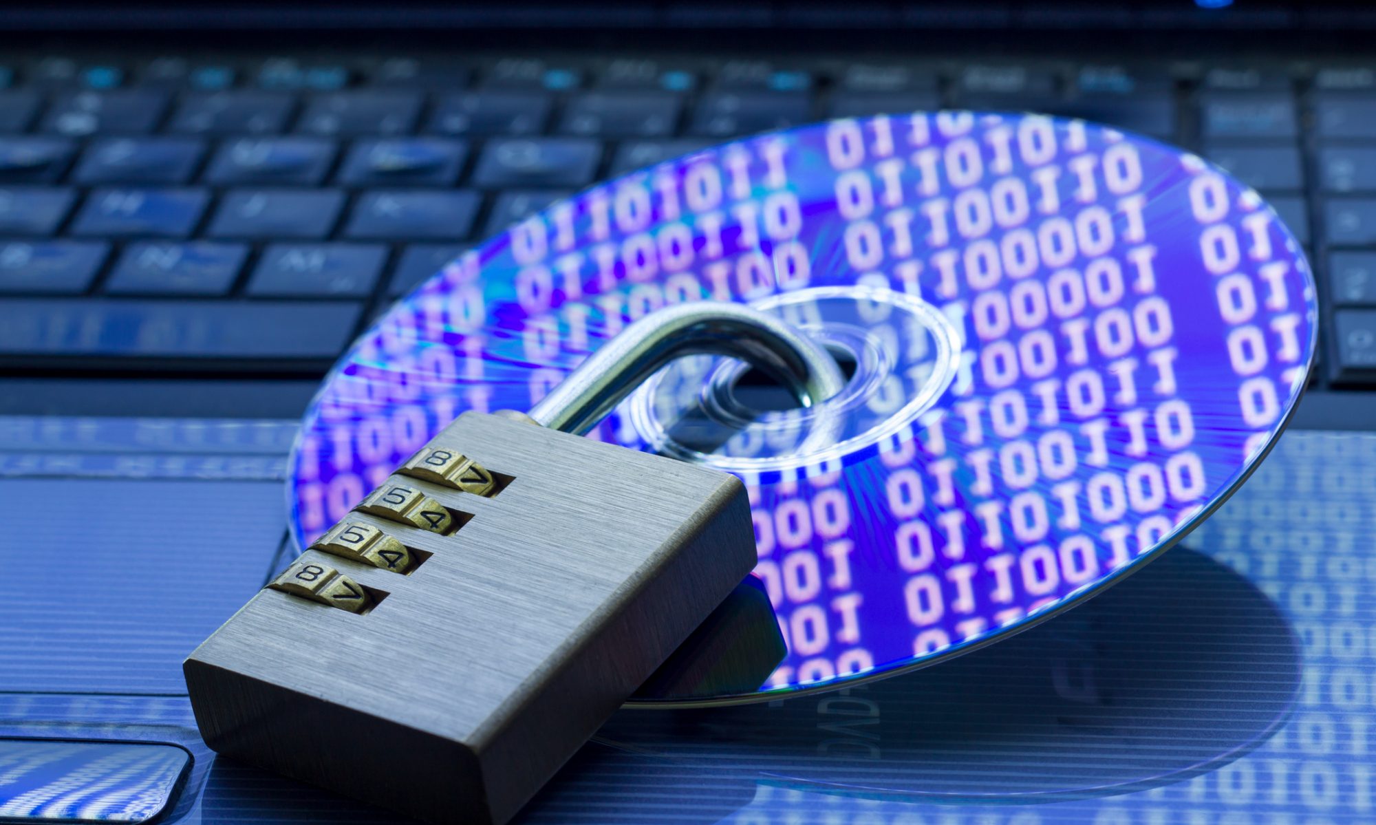 В российских школах появится киберпатруль