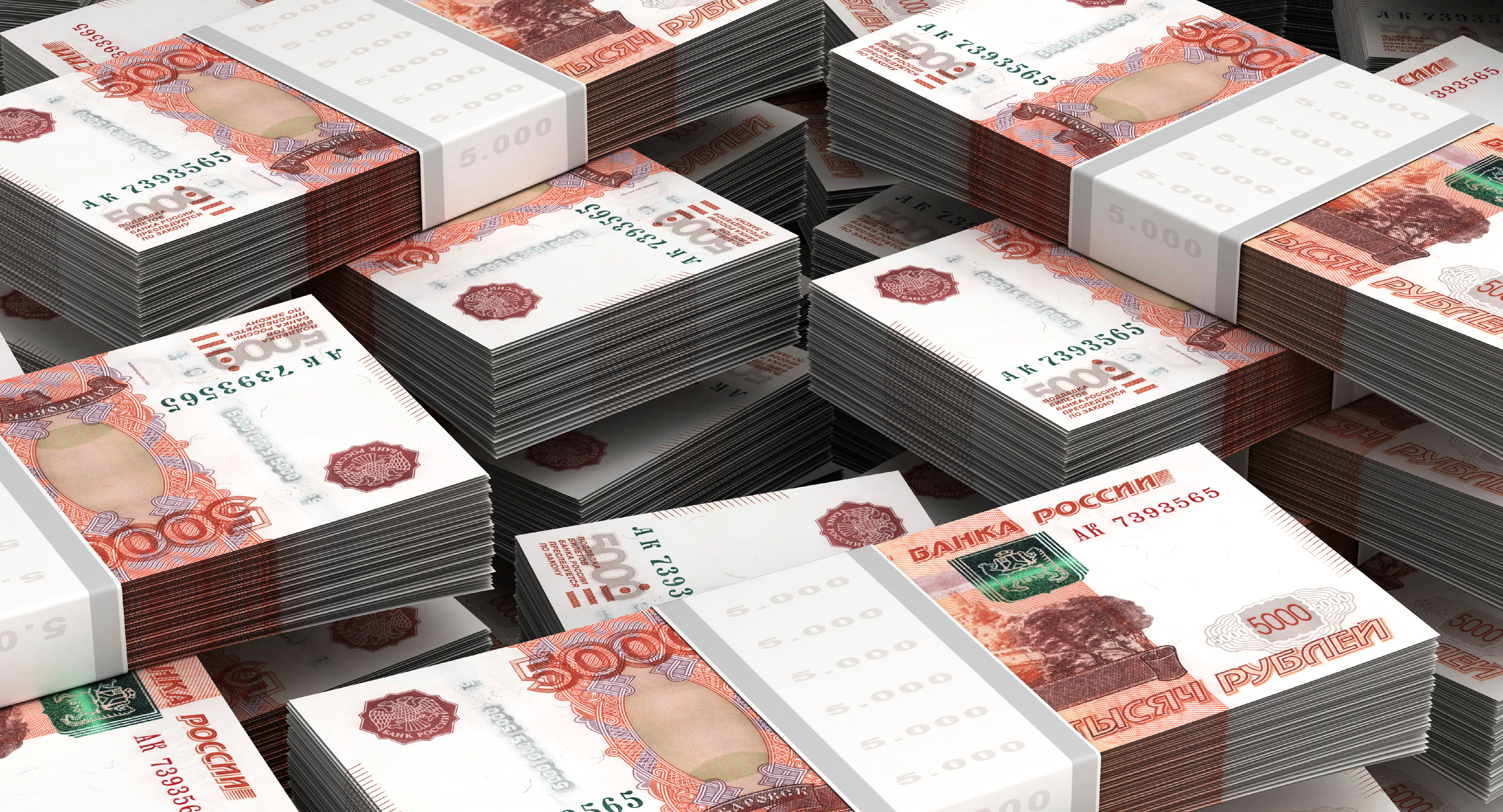 Ради повышения зарплаты учителей депутаты Бердска пересмотрят бюджет