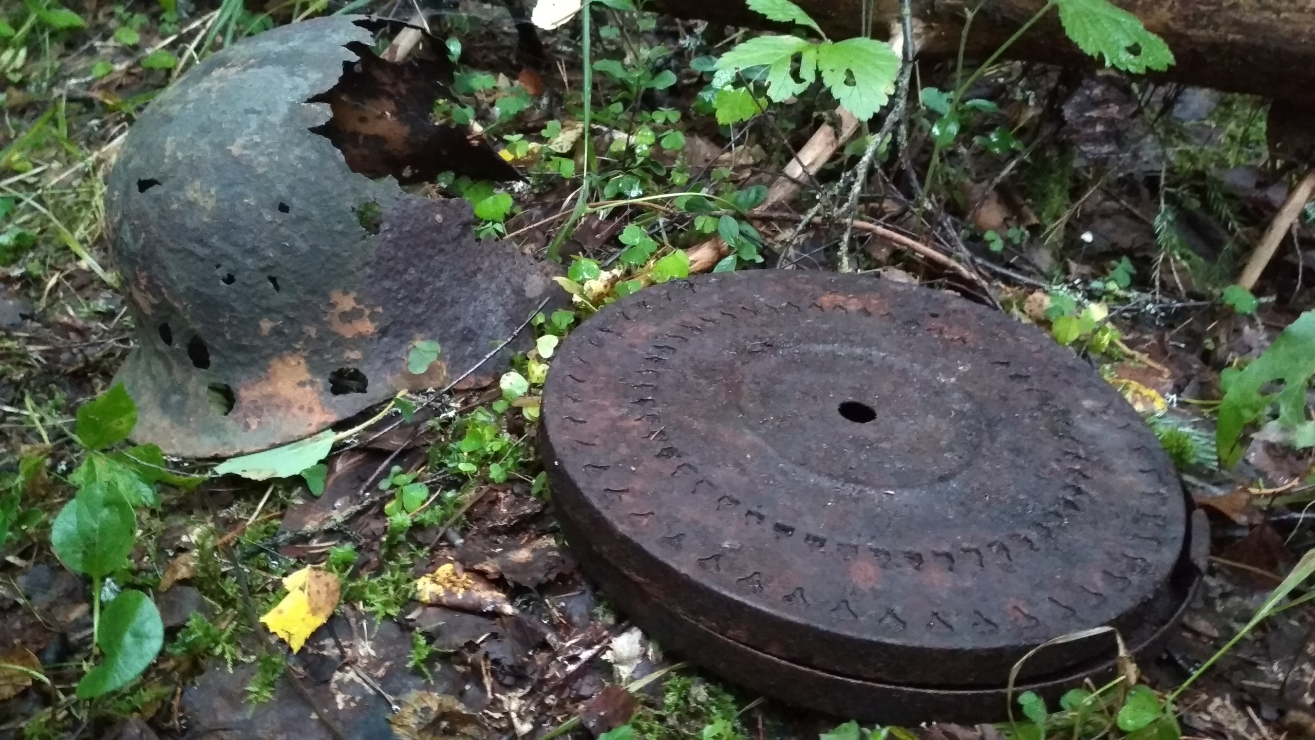 На территории школы в Москве обнаружен снаряд времен войны