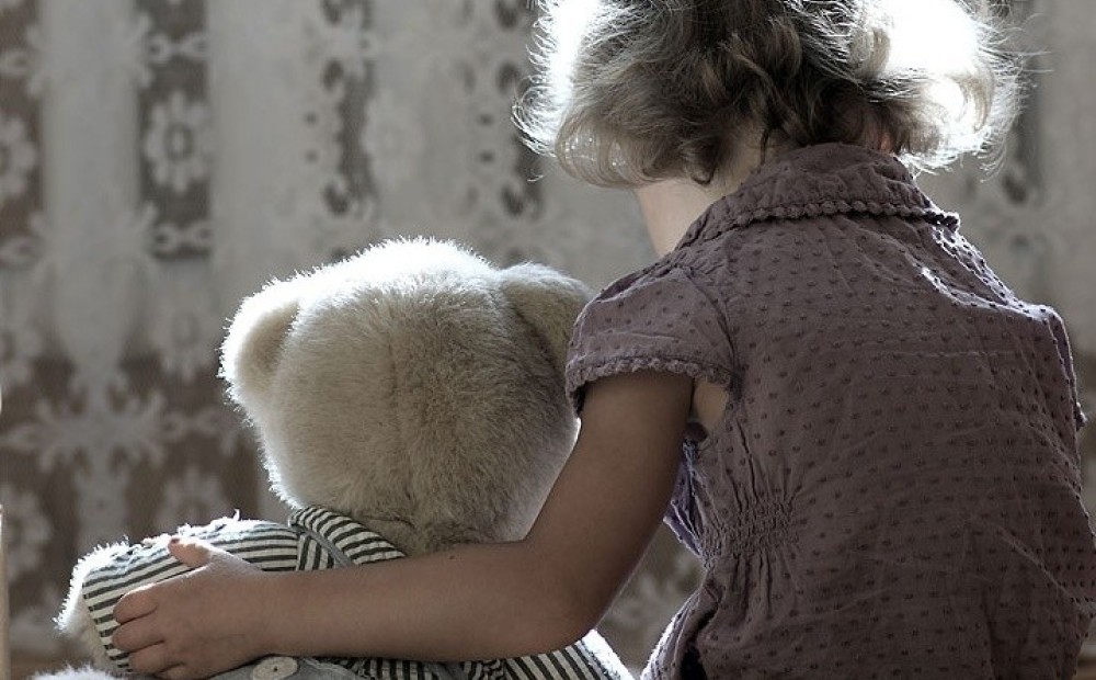 Ирина Яровая разработает поправки о стандартах образования и воспитания детей-сирот