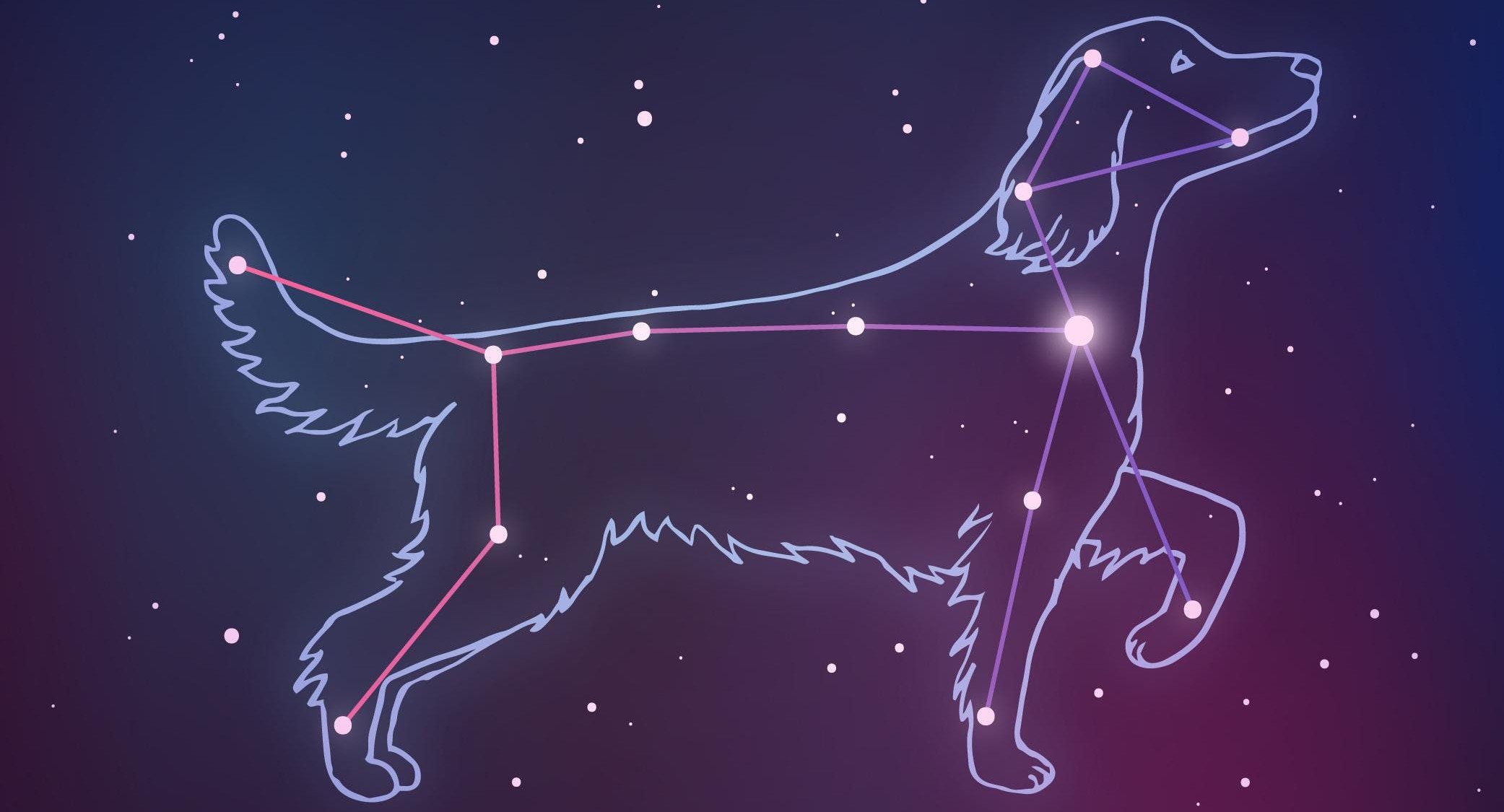 «Собачьи дни»: откуда взялись каникулы