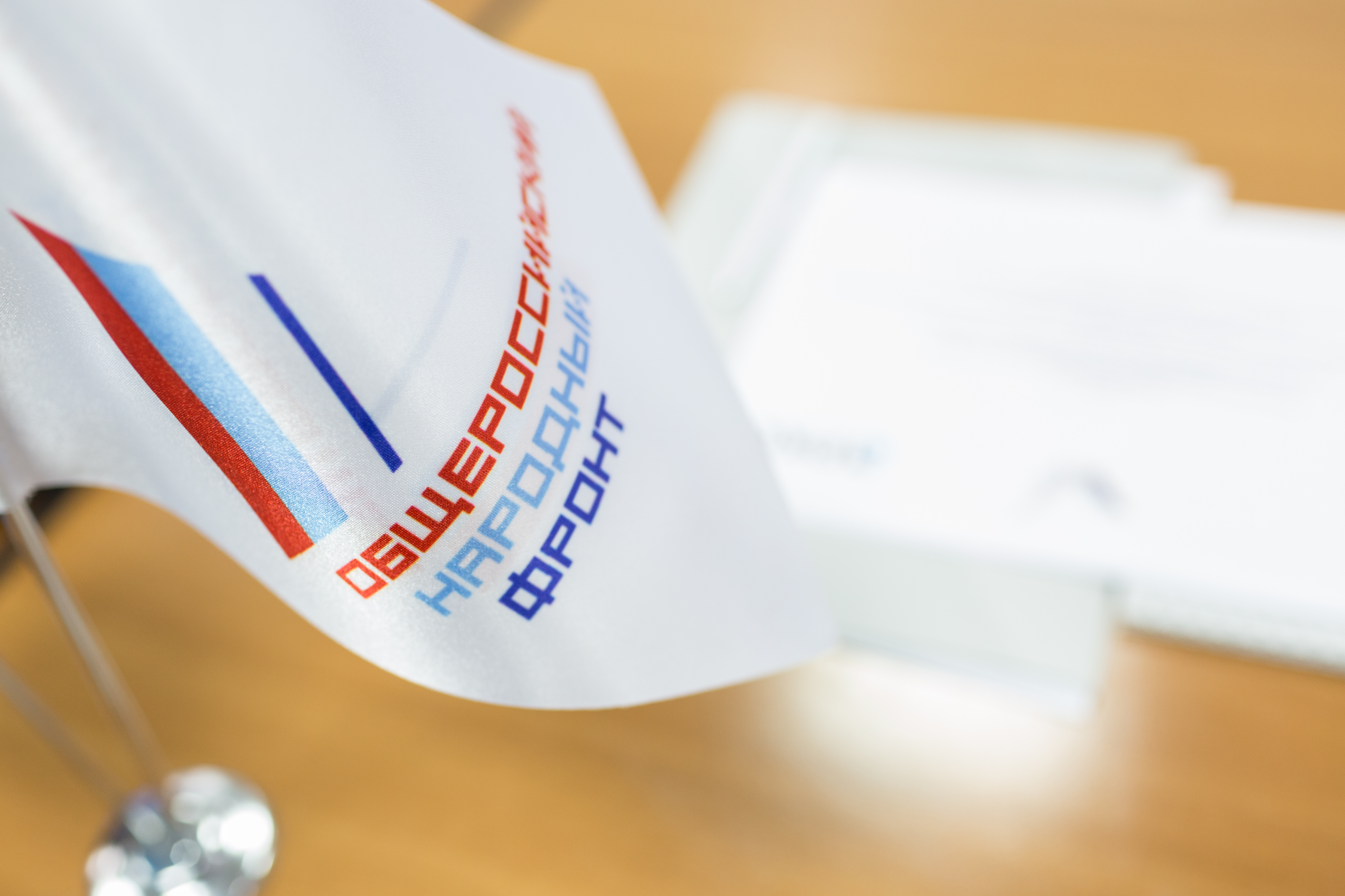 ОНФ учредил конкурсную номинацию для детей, занимающихся образовательным волонтерством