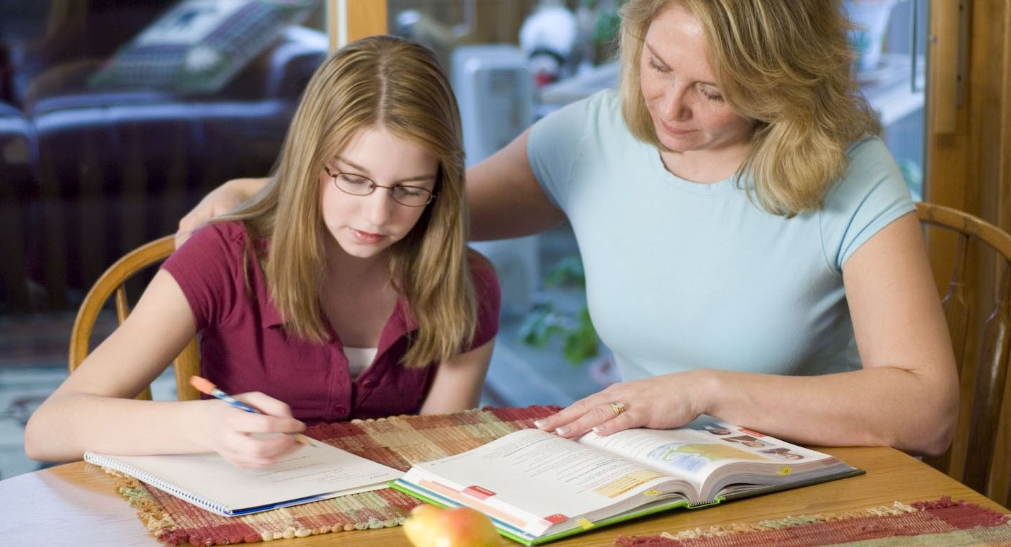 Омские школы уличили в плохой организации обучения на дому