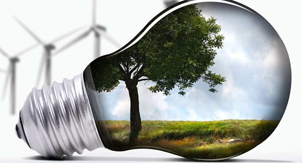 Общественный совет Минприроды рекомендовал ввести ЕГЭ по экологии