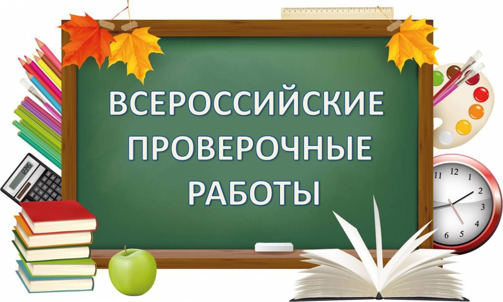 Школ с необъективными результатами ВПР в 2019 году стало меньше