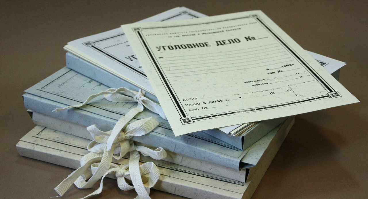 Следственный комитет попросил вернуть из суда дело томского подростка, защищавшего щенка