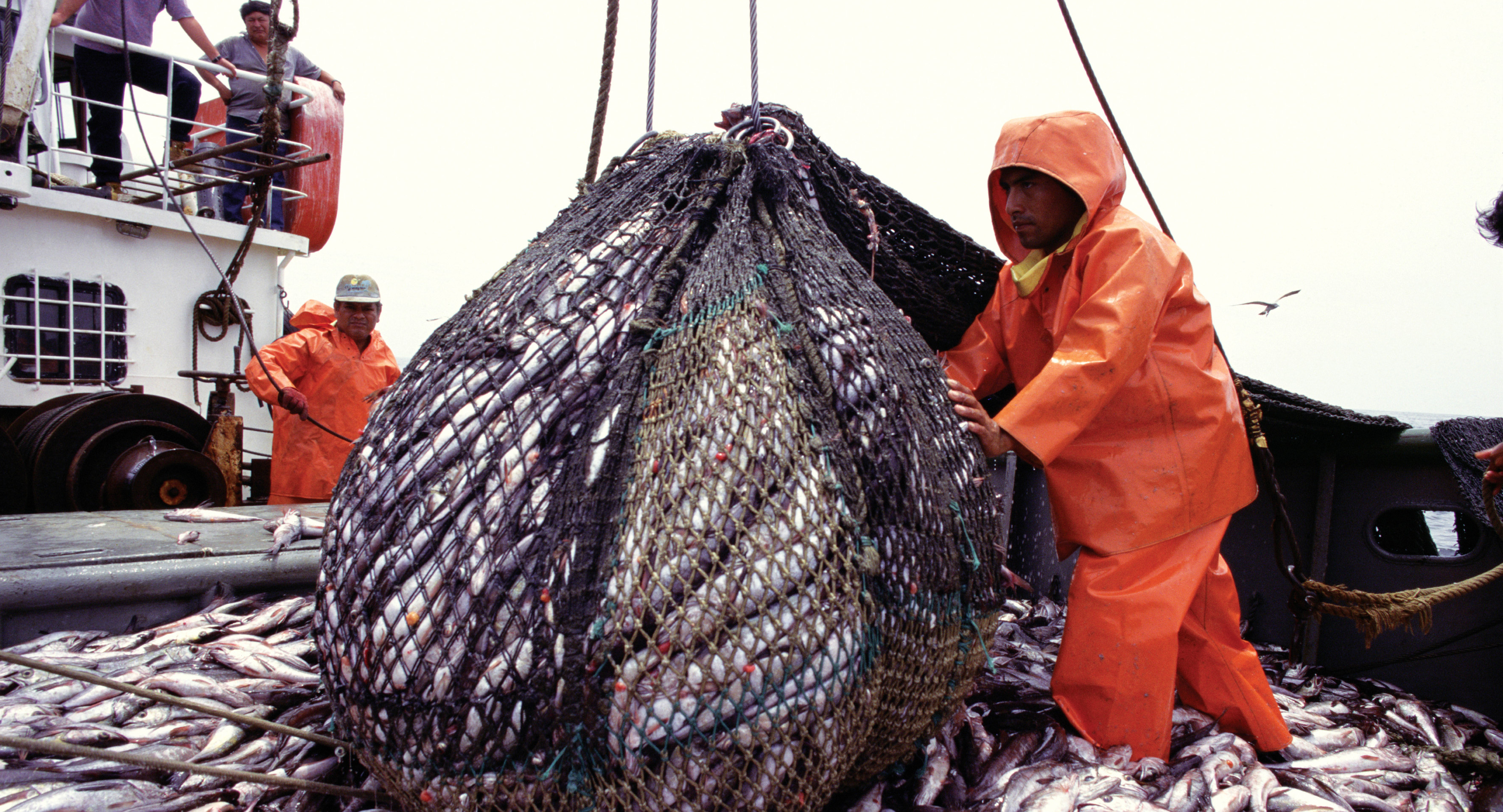 Названа самая высокооплачиваемая вакансия в России