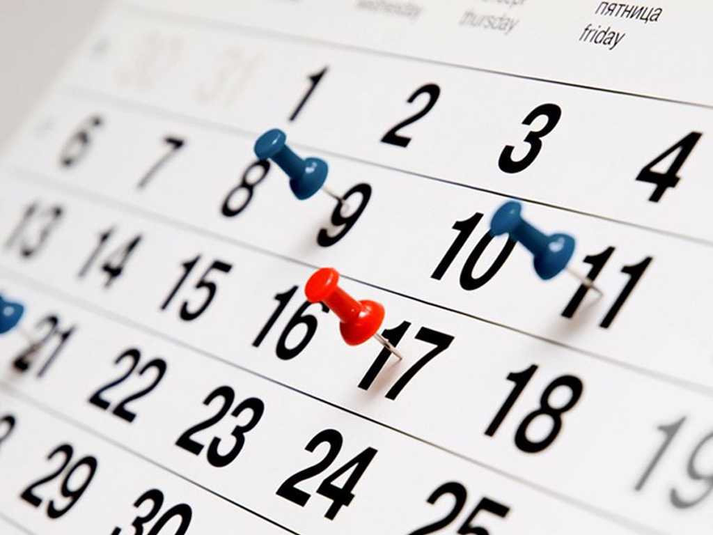 В расписании ЕГЭ на 2020 год сделают двухдневные перерывы