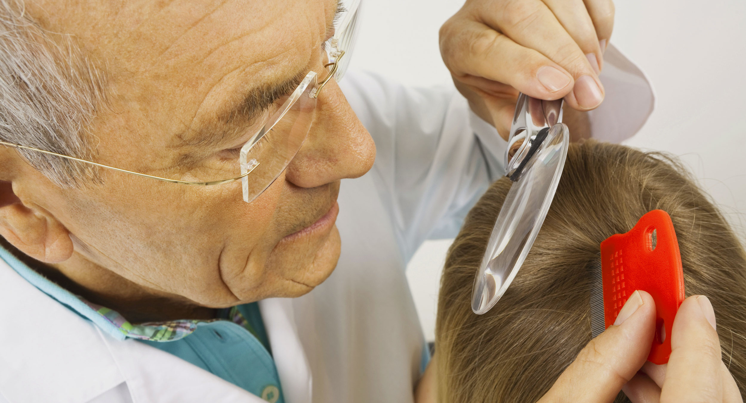 Школы Томской области проходят проверку на вшивость