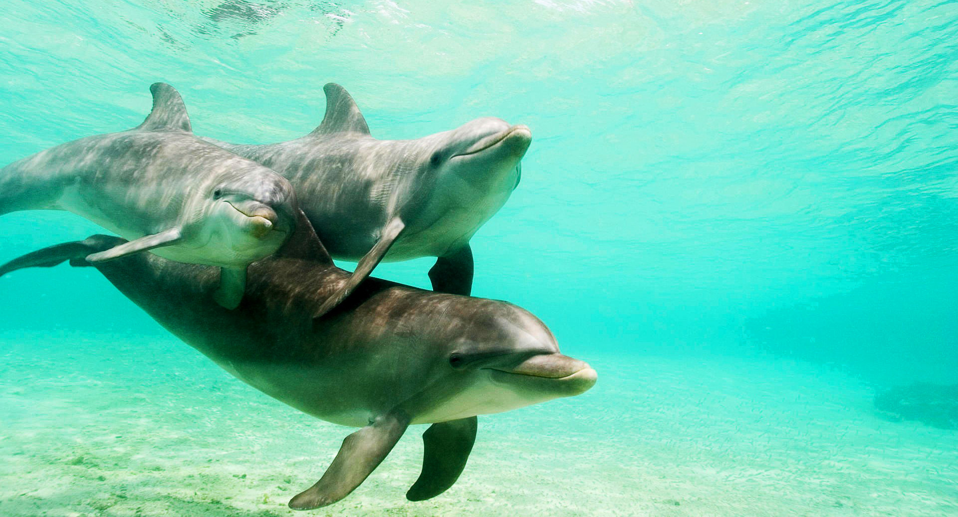 Антропологи Александр и Николь Гратовски: Мы ничего не знаем о чудесах