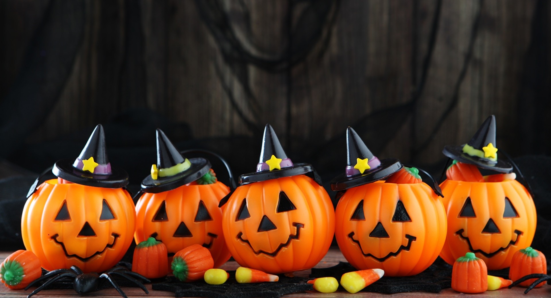 Виталий Милонов попросил генпрокурора РФ не допустить празднования «враждебного» Хэллоуина   