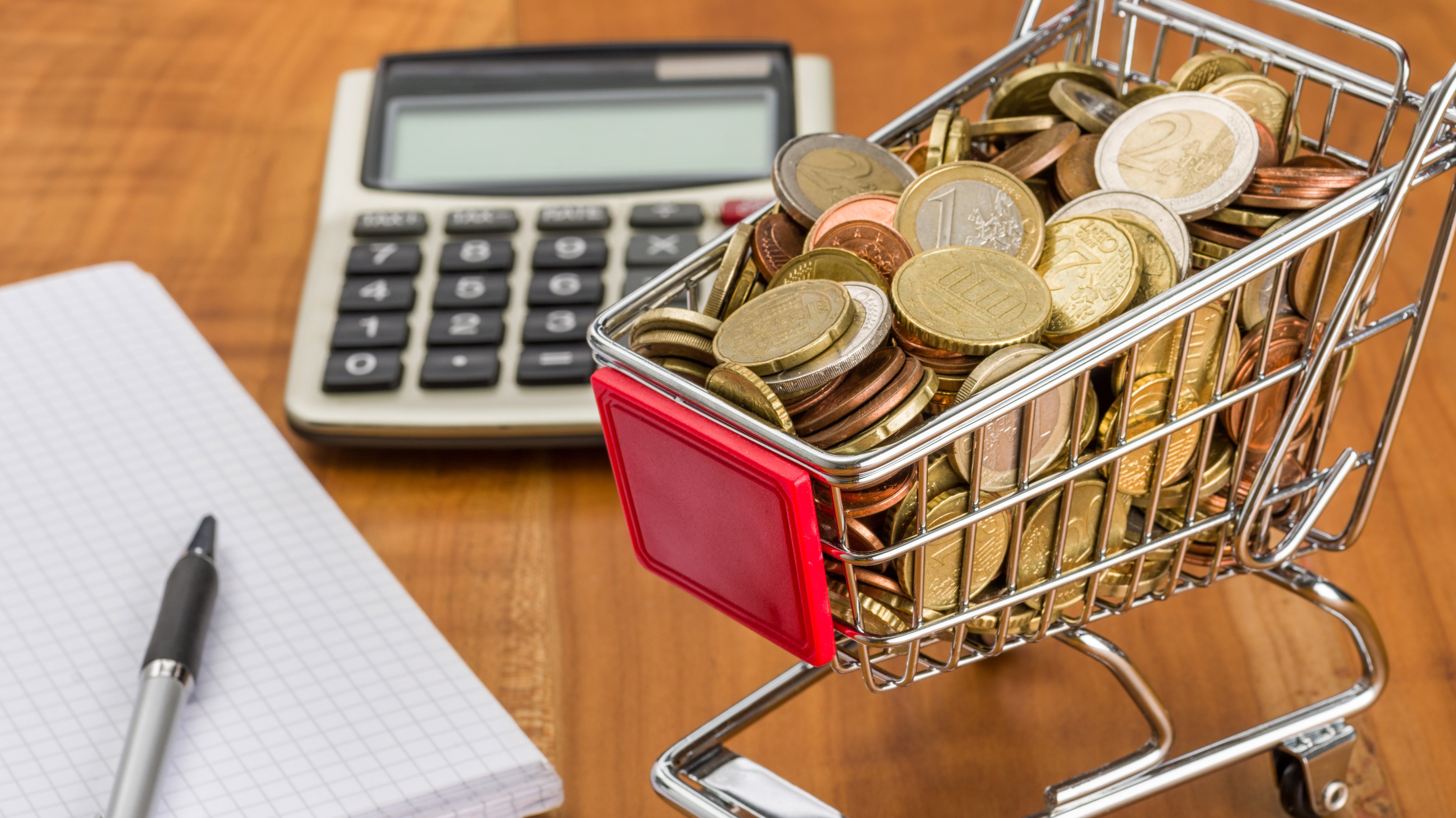 ФАС заявил о нарушениях при выделении средств на допобразование для детей