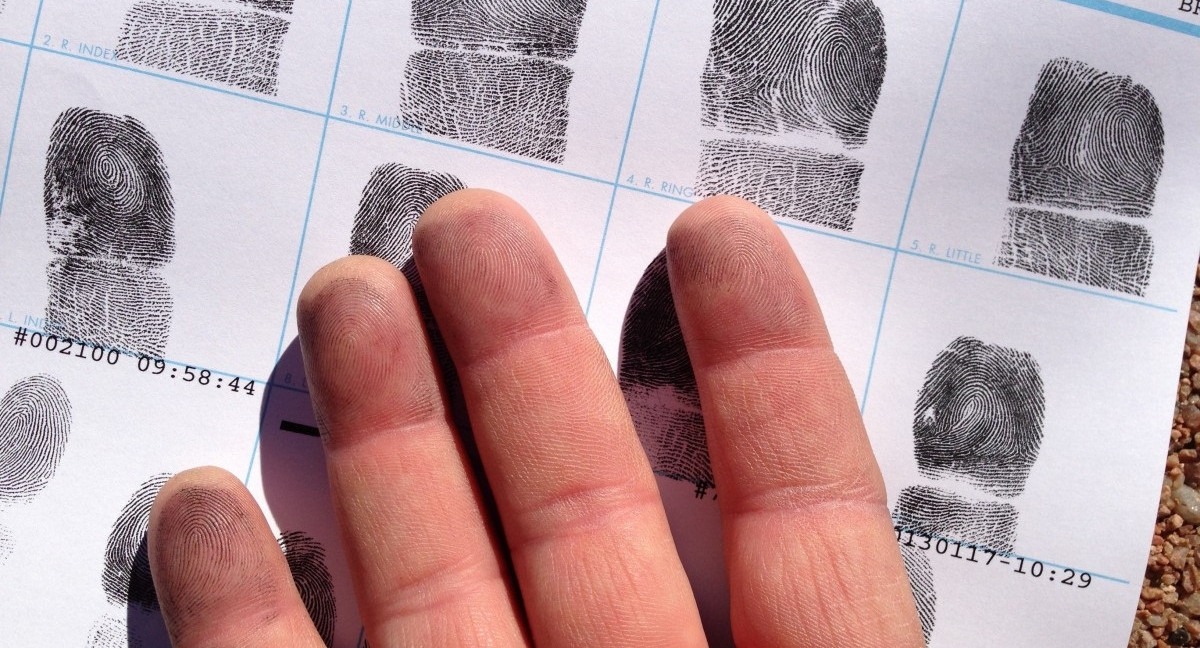 Отпечатки, отпечатки! Какие отпечатки?