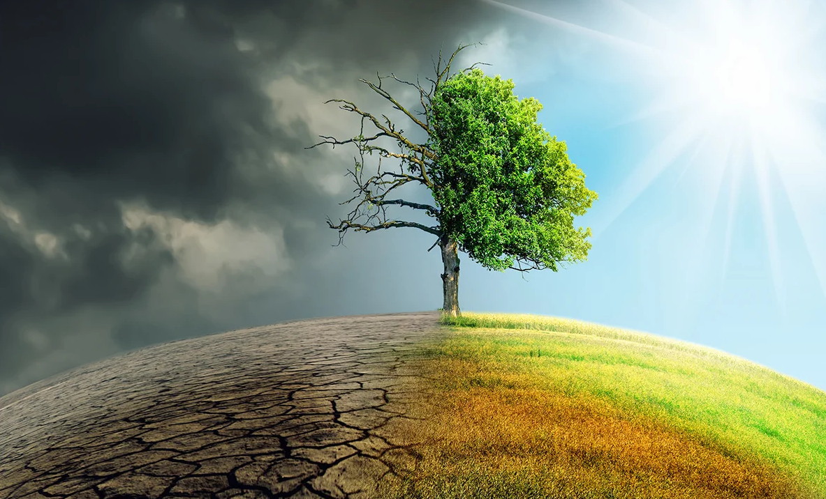 Устойчивое развитие – в центр образовательной модели страны