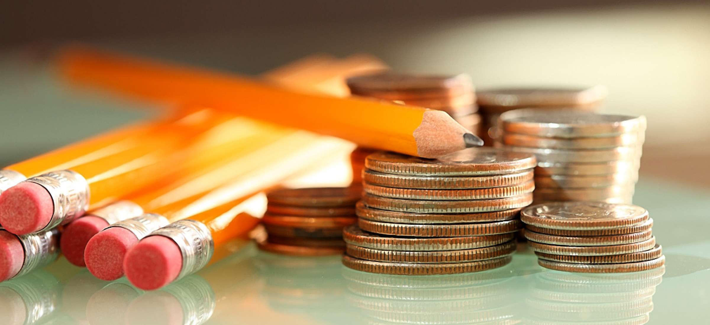 Любовь Духанина: Количество регионов, финансирующих семейное образование, сокращается 