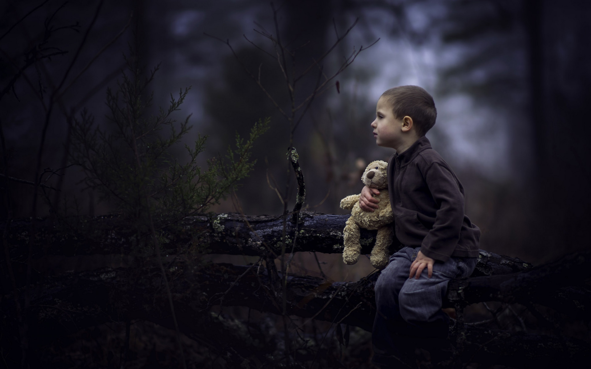 Социальный мальчик научит детей и родителей понимать друг друга