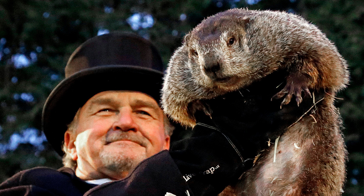 День сурка про стандарты