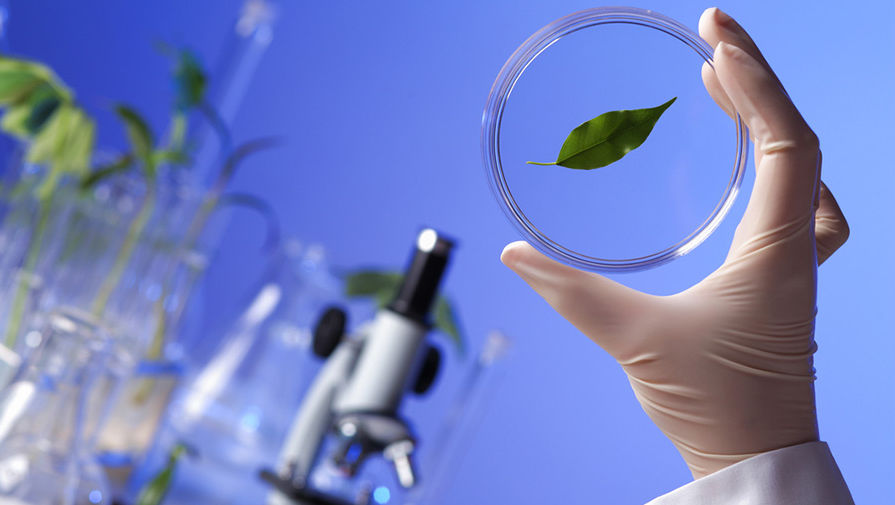 Что должен уметь тот, кто сдает ЕГЭ по биологии