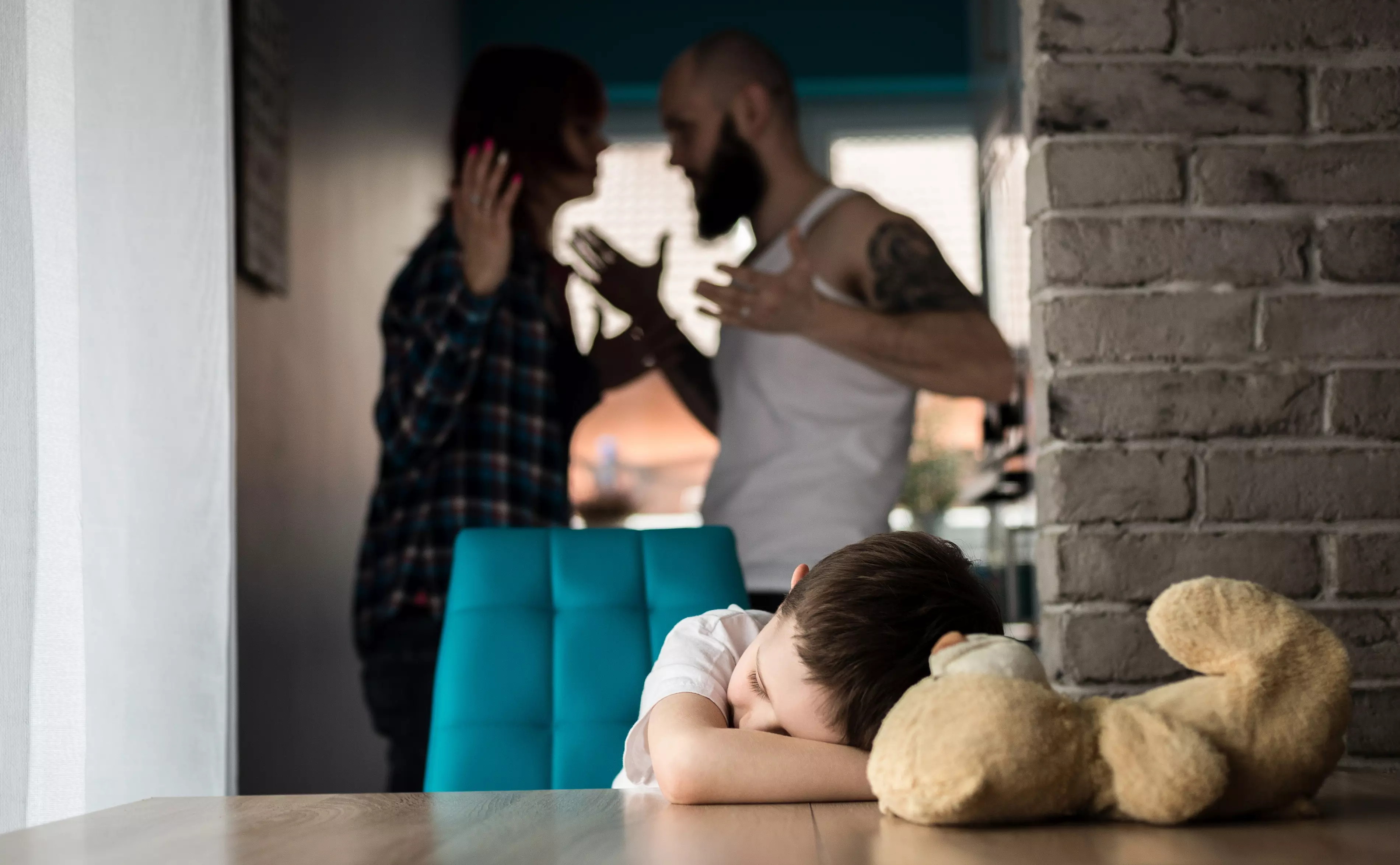 Совет Федерации опубликовал финальную версию закона о домашнем насилии